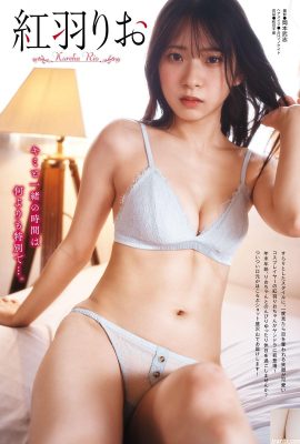 [紅羽りお] Süper iyi figür ve seksi indeks (16P)