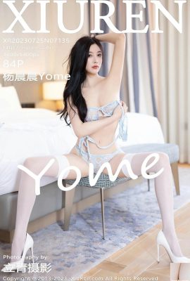 [XiuRen] 2023.07.25 Vol.7135 Yang Chenchen Yome tam sürüm fotoğrafı[84P]