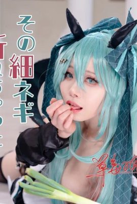 Hatsune Miku: O ince yeşil soğan mı kırıldı?