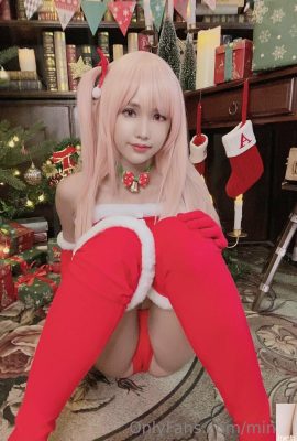 Model minichu paketi – Santa Honoka (68P)