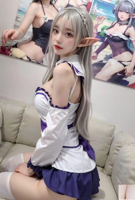 No458 Emilia Cosplay