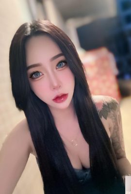 HAYIR? Yan'ın T-Man “Sun Ting” tarafından bacakları ve göğüs taiji (20p)