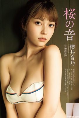 Mutlu Yıllar ~ Lütfen Sakurai Girl'in zarif figürüne bakın (68p)