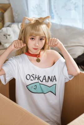 Japon balığı kinngyo “kedi” (57p)