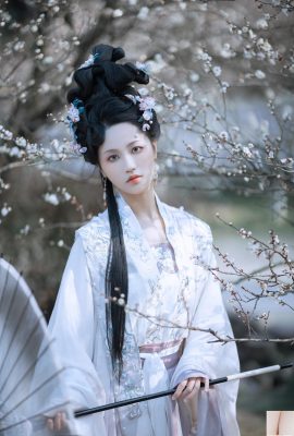 Jiangnan erik çiçekleri ve mantar kışın (33p)