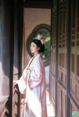 Bushenglian patates cipsi (20p)