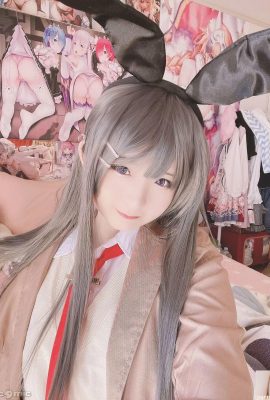 (Aptal) Mai Sakurajima Mai (27p)