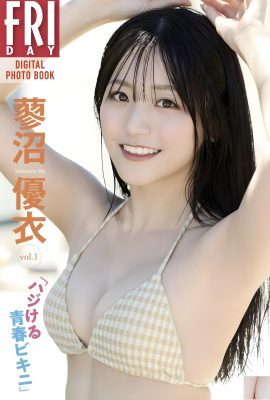 (Tainu Nichi) Melek Yüz + Şeytan Figürü son derece mükemmel (22p)