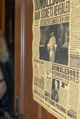 (Suicide Girls) 29 Mayıs 2025 – Babybi – Thestrals (41p)