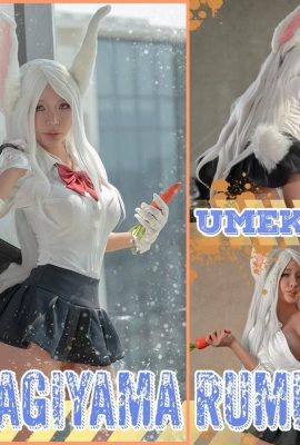 (İnternet Koleksiyonu) Umekoj – Mirko (110p)