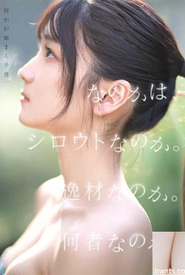 Hatsumi mi yoksa amatör mü? Yetenekli bir insan mısınız?