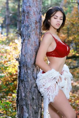 Dzhili – Doğanın Zirvesi (113p)