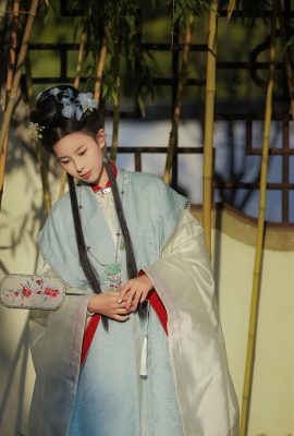 Qingping Brewing Brewing Round Zi (25p)