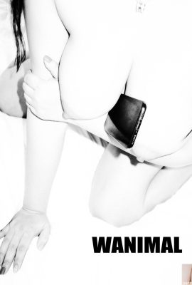 (Wang Dong'un çalışması) Wang Dong) WANIMAL Tumblr fotoğraf koleksiyonu (105) (50P)